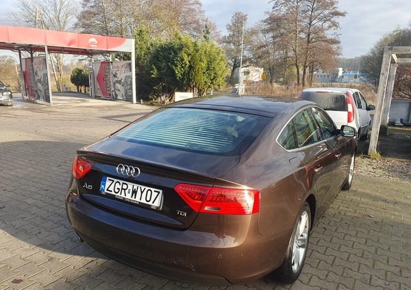 Audi A5 cena 62900 przebieg: 158255, rok produkcji 2014 z Gryfino małe 379